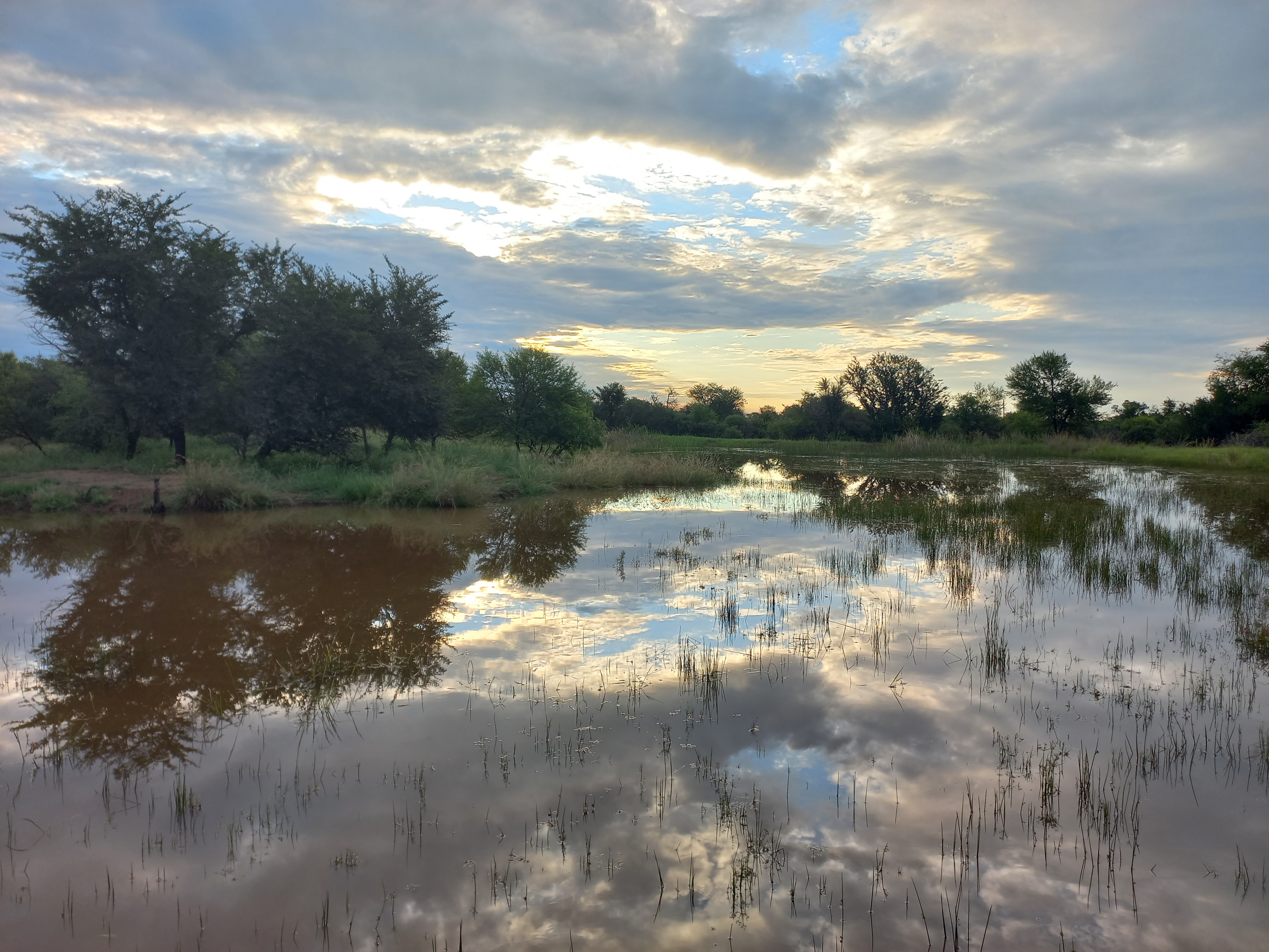 Sun Acres farm dam full of water, Dinokeng